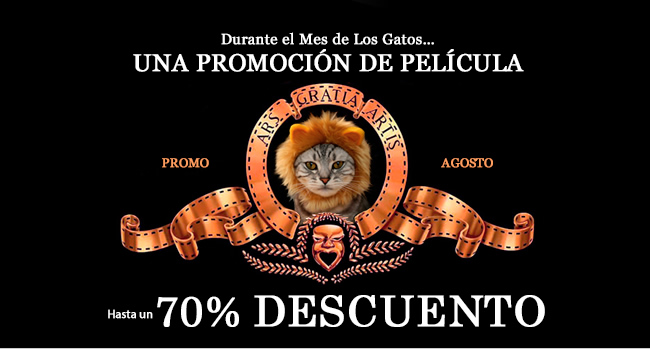 Transtecnia - Durante el Mes de Los Gatos, una promoción de película. Hasta 70% de descuento en nuestras soluciones