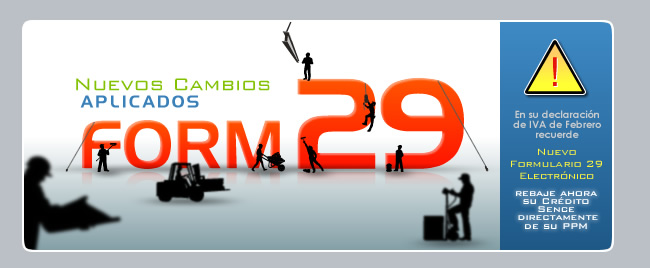 NUEVOS CAMBIOS FORMULARIO 29